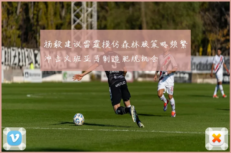 杨毅建议雷霆模仿森林狼策略频繁冲击文班亚马制造犯规机会
